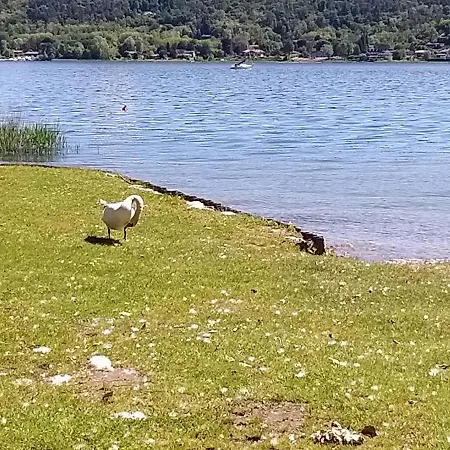 Ritratto Sul 3* Дормеллетто