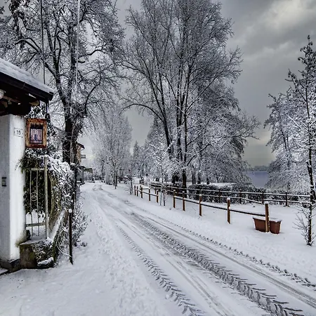 Ritratto Sul Dormelletto