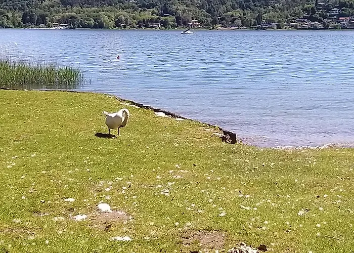 Ritratto Sul 3* Dormelletto