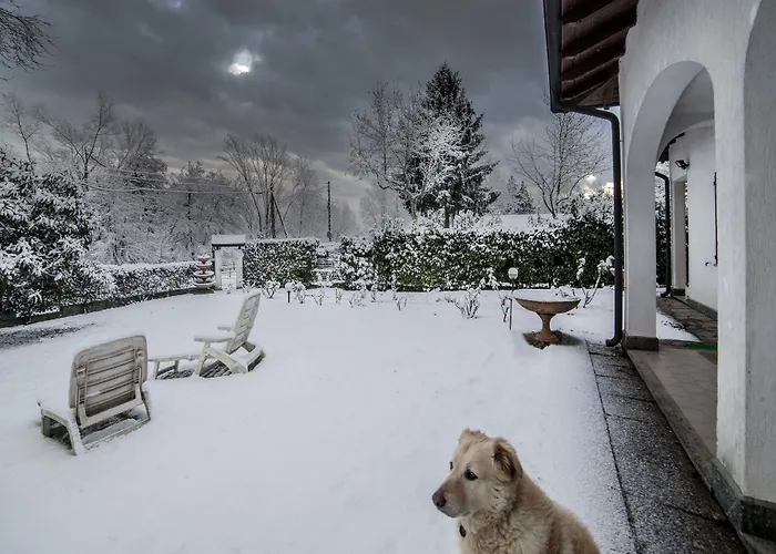 Bed & Breakfast Ritratto Sul Dormelletto