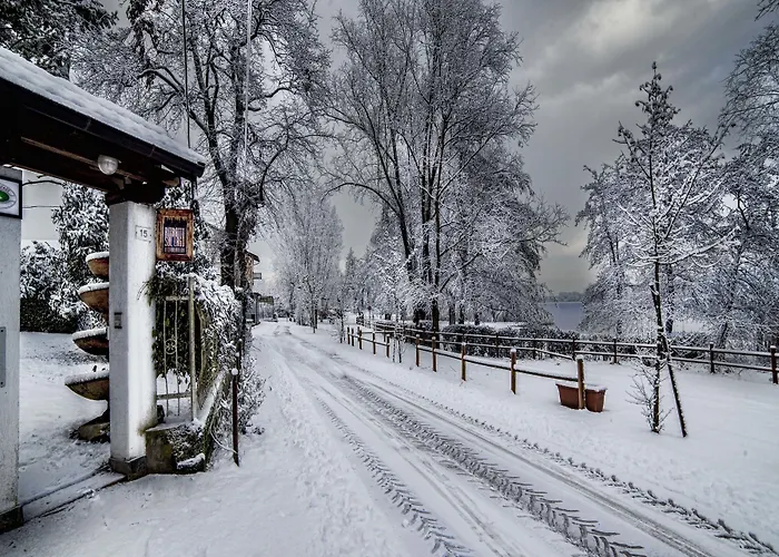 Ritratto Sul Dormelletto