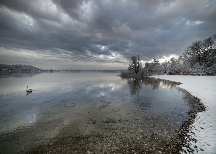 Ritratto Sul Dormelletto