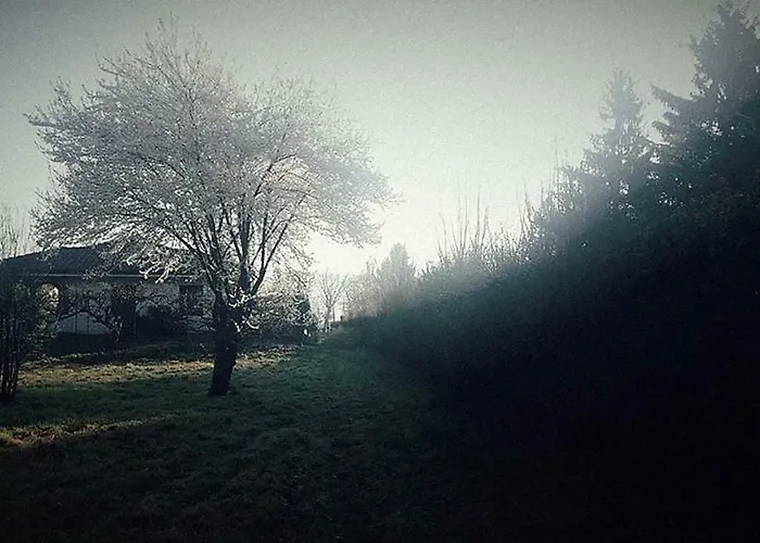 Ritratto Sul Nocleg ze śniadaniem Dormelletto